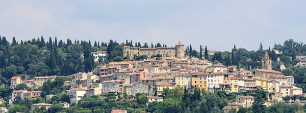 Comment découvrir les traditions de la cueillette de la lavande en Provence, France?